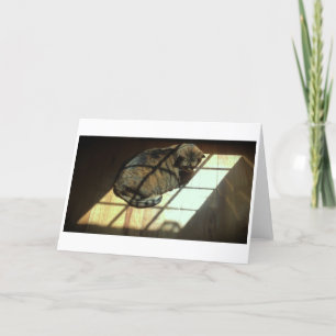 Slow Days, card