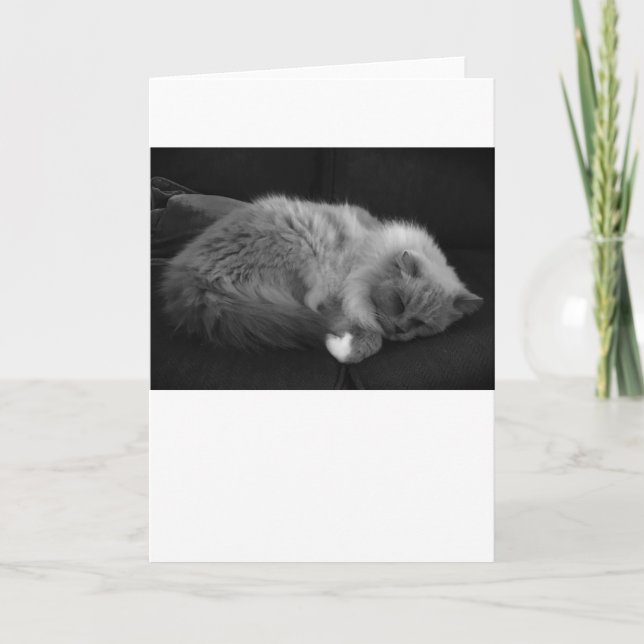 Slow Days, card (Front)