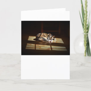 Slow Days, card