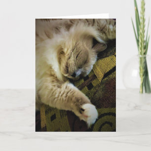 Slow Days, card