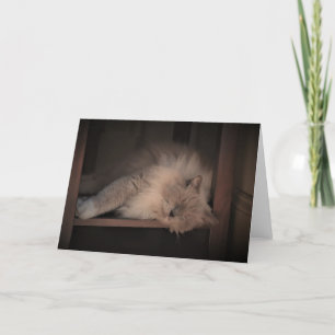 Slow Days, card