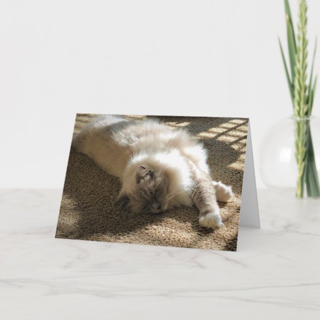 Slow Days, card (Front)