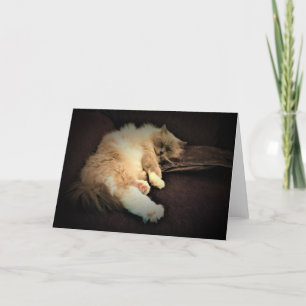 Slow Days, card