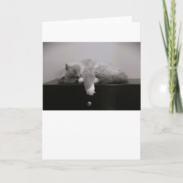 Slow Days, card (Front)