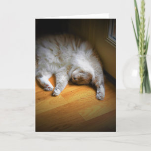 Slow Days, card