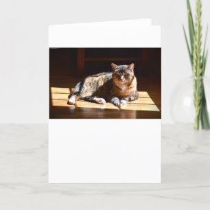 Slow Days, card