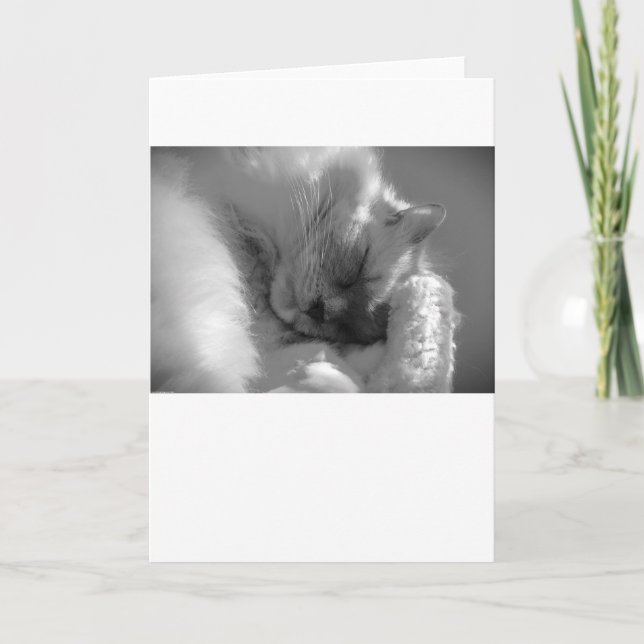 Slow Days, card (Front)