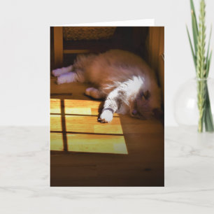 Slow Days, card
