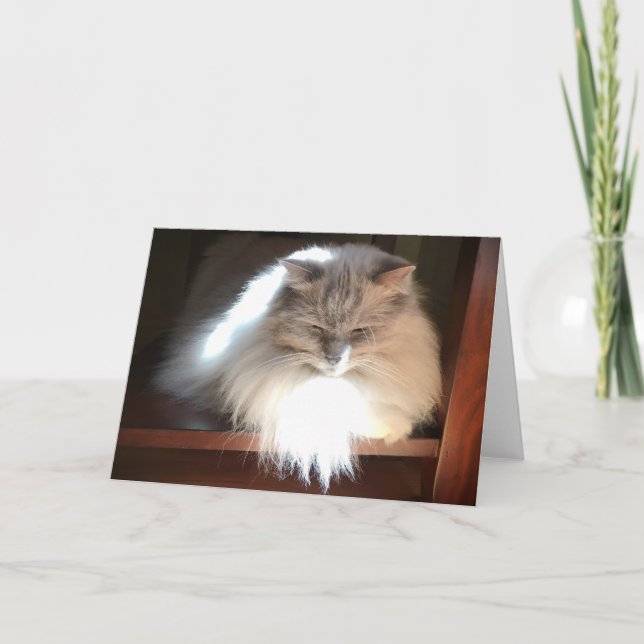 Slow Days, card (Front)