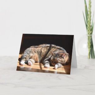 Slow Days, card