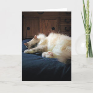Slow Days, card