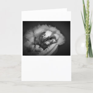 Slow Days, card