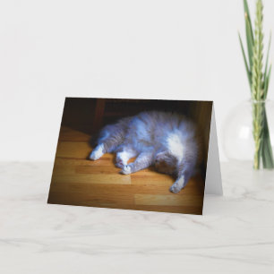 Slow Days, card