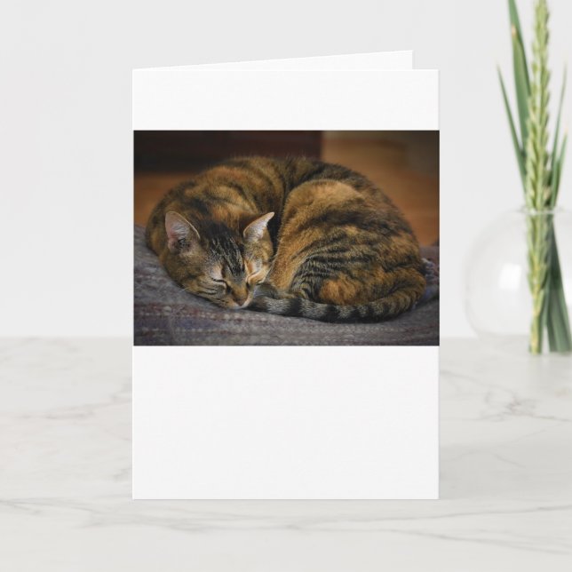Slow Days, card (Front)