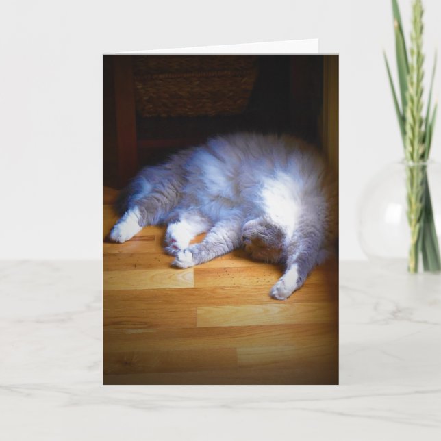 Slow Days, card (Front)