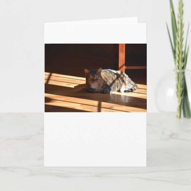Slow Days, card (Front)