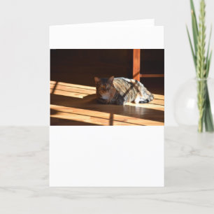 Slow Days, card