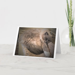 Slow Days, card