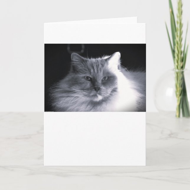 Slow Days, card (Front)