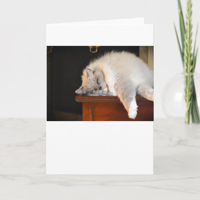 Slow Days, card (Front)