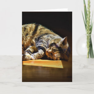Slow Days, card