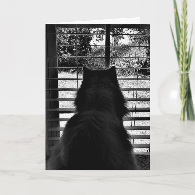 Slow Days, card (Front)