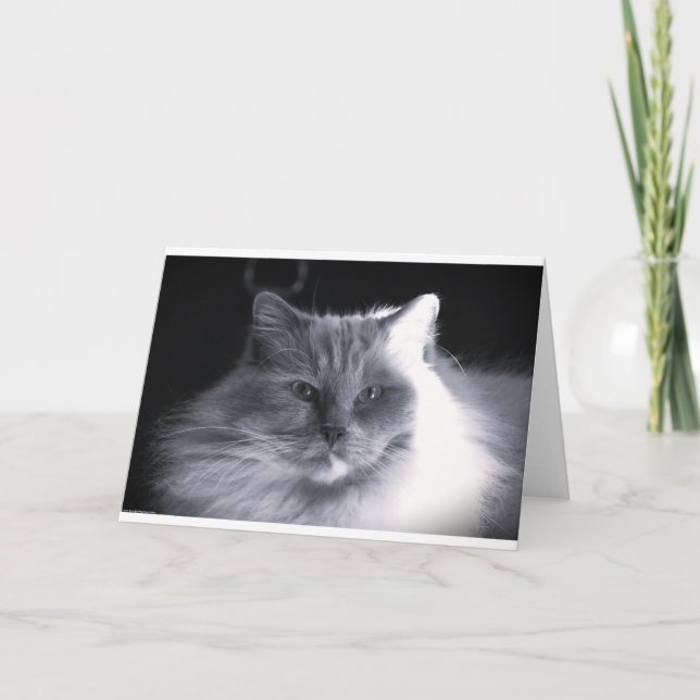 Slow Days, card (Front)