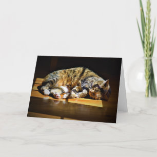 Slow Days, card