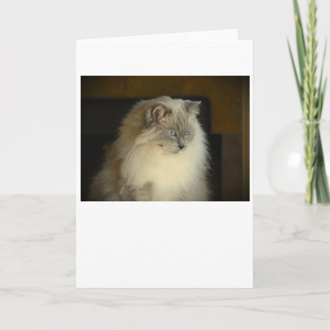 Slow Days, card (Front)