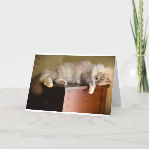 Slow Days, card