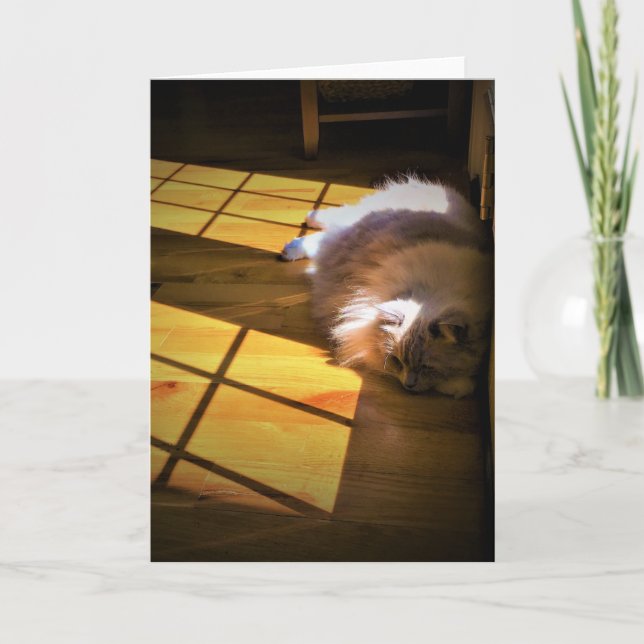 Slow Days, card (Front)