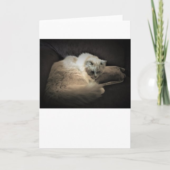 Slow Days, card (Front)