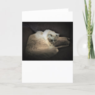 Slow Days, card