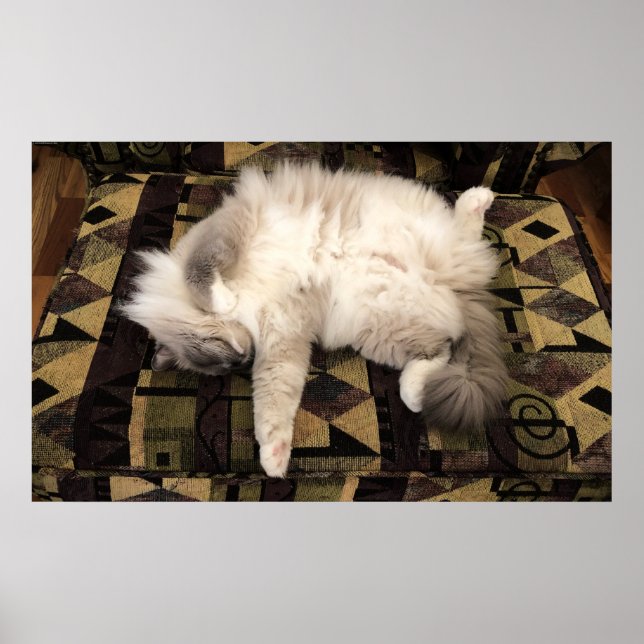 Slow Days, Poster (Front)