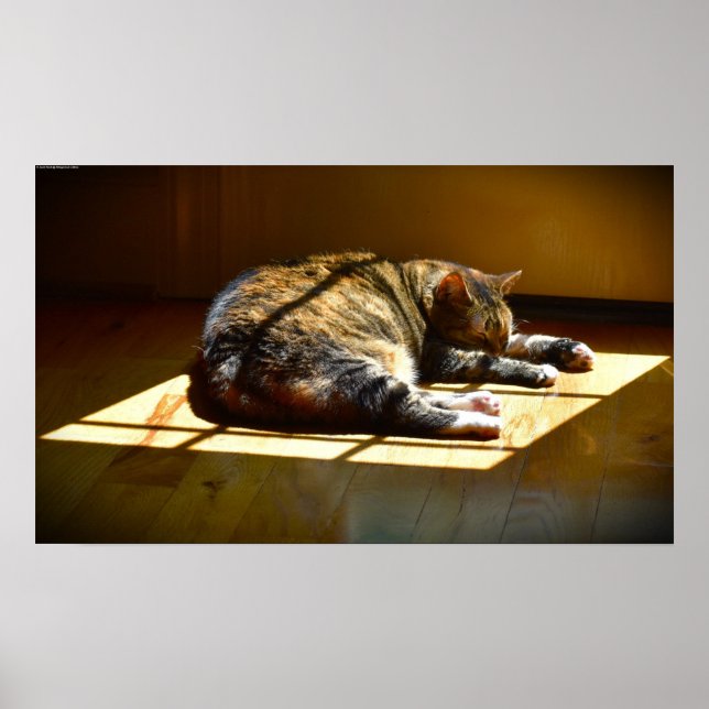 Slow Days, Poster (Front)