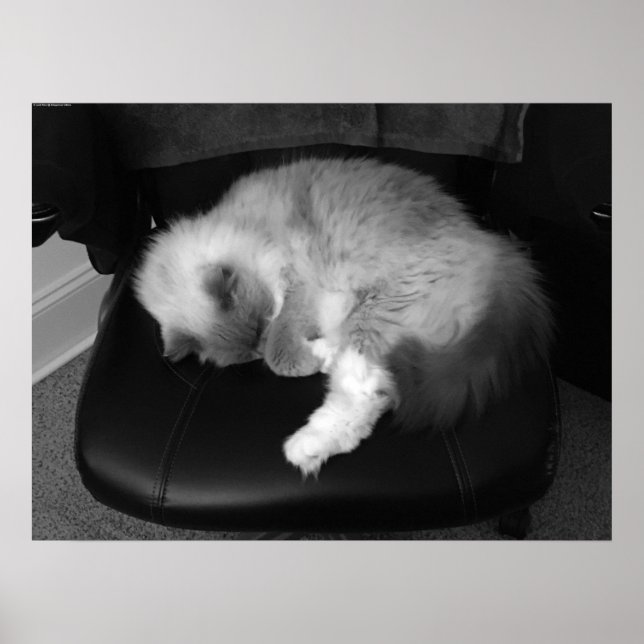 Slow Days, Poster (Front)