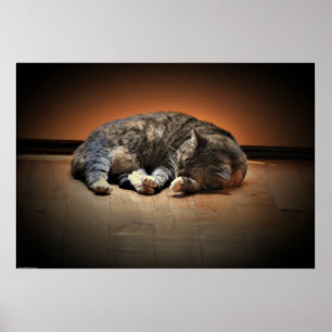 Slow Days, Poster