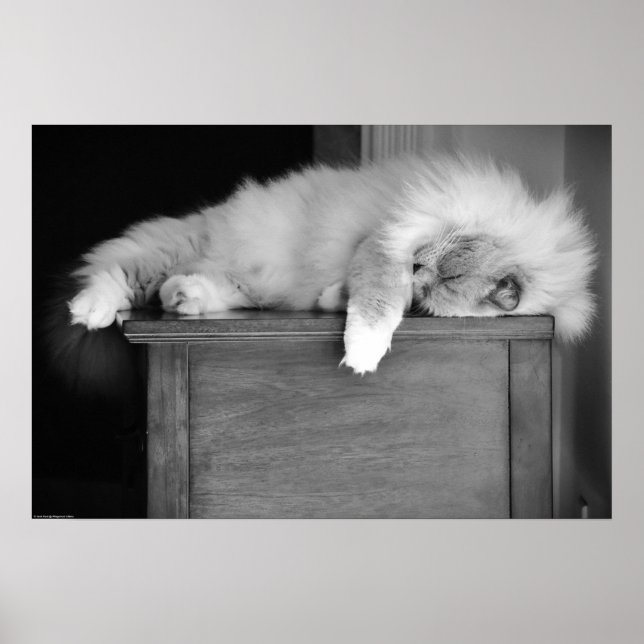 Slow Days, Poster (Front)