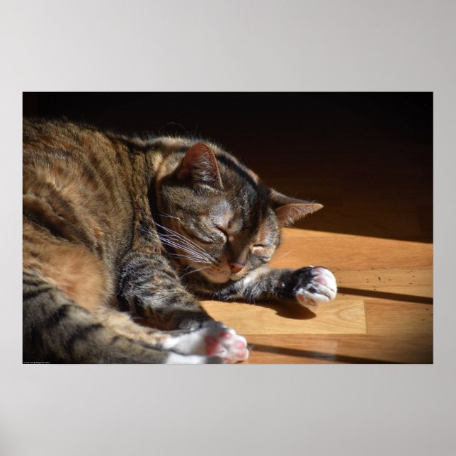 Slow Days, Poster (Front)