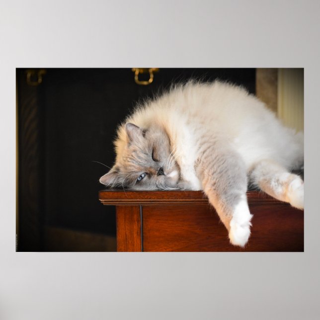 Slow Days, Poster (Front)