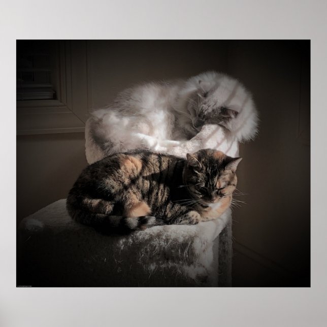 Slow Days, Poster (Front)