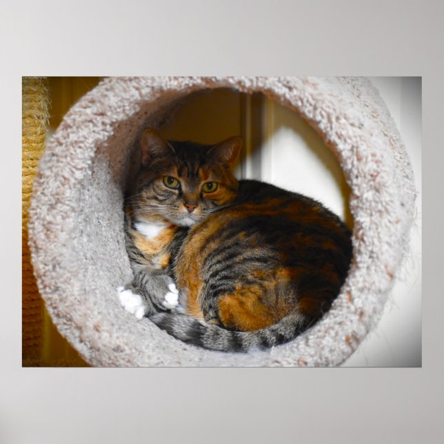 Slow Days, Poster (Front)