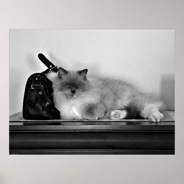 Slow Days, Poster (Front)