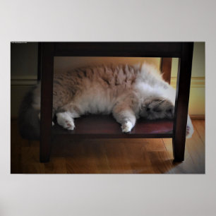Slow Days, Poster