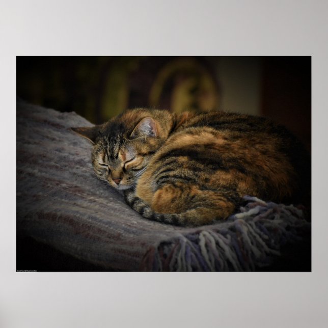 Slow Days, Poster (Front)