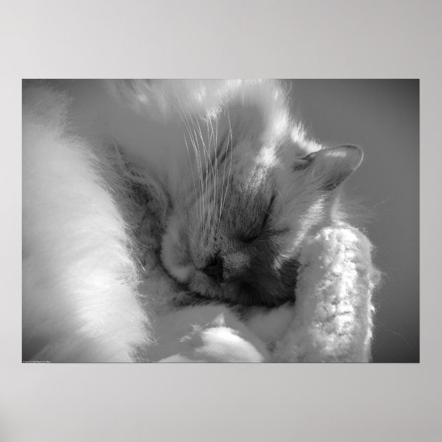 Slow Days, Poster (Front)