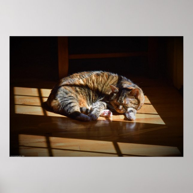 Slow Days, Poster (Front)