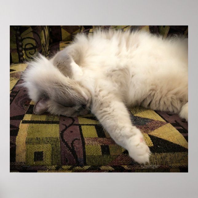 Slow Days, Poster (Front)