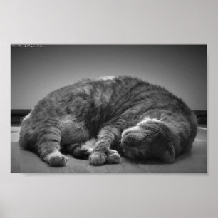 Slow Days, Poster