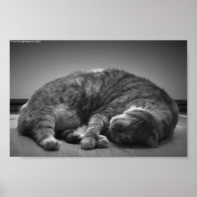 Slow Days, Poster (Front)